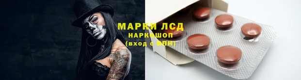 ешки Алзамай